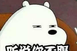 岷县专业要账公司